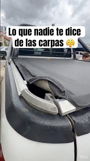 Lo que nadie te dice de las carpas