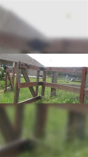 Baseball Through the Fence Trick Shot!