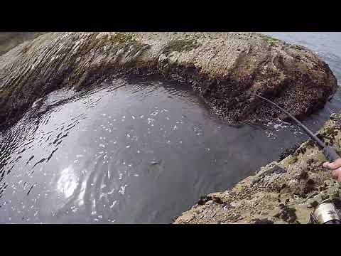 Big Fish In A Small Pool, Rockfishing In San Simeon | Fishing The California Coast
