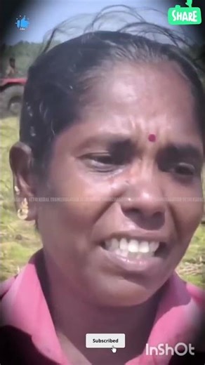 22 November 2025 #trending #viral #lifeisbutadream #youtubeshorts #ytshorts