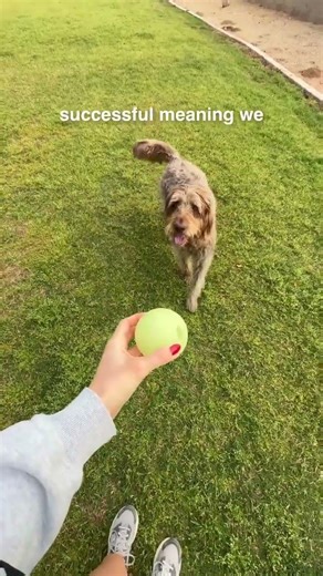 Here's a breakdown of everything we've done this month for our content creator clients as their