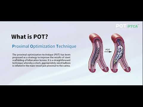 Brosmed POT PTCA Balloon Dilatation Catheter