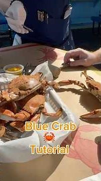 How to eat Blue Crab 🦀 tutorial #food #bluecrabs #crab #tutorial #florida