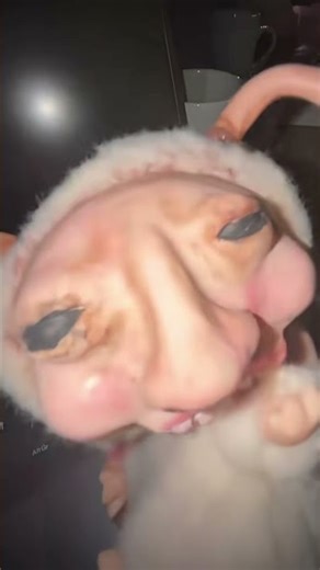 When you spell that one fart but you can’t quite figure out what it smells like…