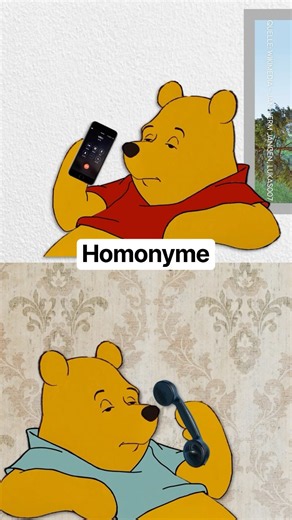 Homonyme