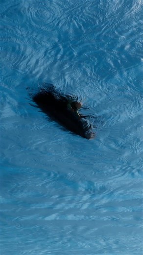 15K views · 26 reactions | What If You Have The Infinite Cake: Eat Forever and Never Run Out! #short #shorts #viralvideo #shortsreels #shortsvideos #shortsfeed | The Animated Beat | Facebook