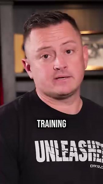 166K views · 2K reactions | What to Do When Your Dog Snaps at You. Check out American Standard K9 and DIYK9 for the best online and in-person dog training. #dog #dogs #puppy #doglover #dogtraining #fyp | American Standard Dog Training | Facebook