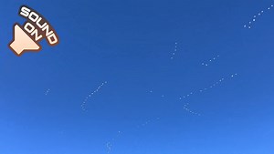 11K views · 471 reactions | SOUND ON  Snow geese have started to land at our John Martin Reservoir State Park and it's a thrilling thing to hear and see! | Colorado Parks and Wildlife | Facebook