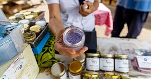 Maui Shopping Tips - ALL ABOUT MAUI Travel Blog