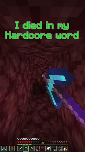 I died in my hardcore world