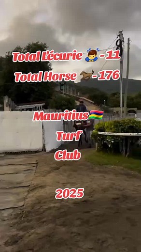 La course de chevaux au MTC : Simba, roi des pistes