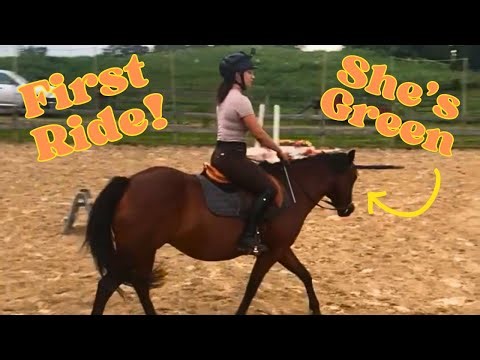 FIRST RIDE ON A GREEN HORSE | PEANUT