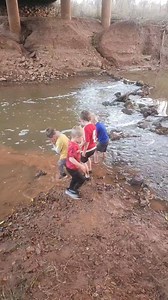 New favorite song #chickenricky #ChickenBobby #earlymanhooddevelopment @ryanupchurch | Chicken Ricky