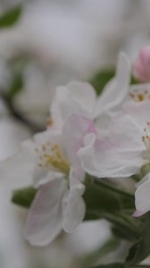 1.1K views | Ready to welcome spring with open arms?  Spruce up...