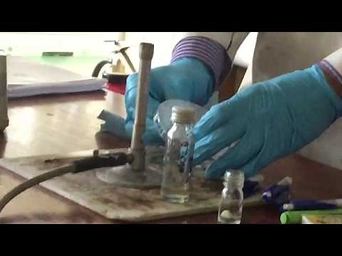 Effect of Antibiotics on Bacteria