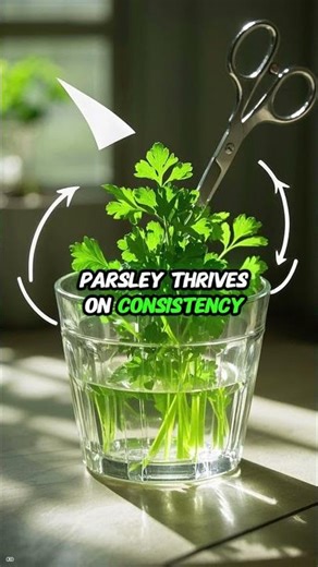 Grow Parsley in a Cup – Dorm LED Herb Hack