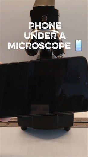 Microscopic observation of a telephone #microscope #science #experiment