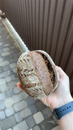 small black bread with sourdough✨