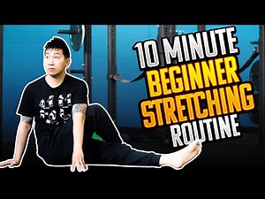 10 Minute BEGINNER Stretching Routine (FOLLOW ALONG!)