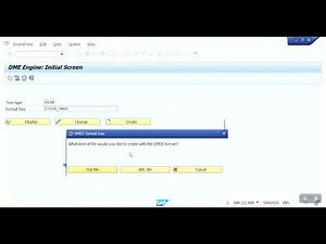 SAP FICO DMEE TREE Configration Part 2