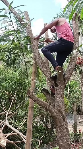 Videos de 𝐸𝓇𝒾𝓀𝒶💜 (@erika_fit) con “Tarzan - Action & Adventure Ringtones”