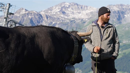 Start des Alp-Abenteuers: Hat Martin seine Eringerkühe im Griff? (Staffel 5, Folge 1)