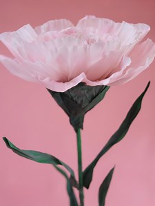 Giant Light Pink Carnation – Handmade Oversized Paper Flower (height: 110–200 Cm, 45 Cm Bloom Diameter) - Etsy Australia