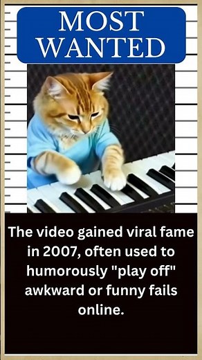 CAT Hall of Fame: Meet KEYBOARD CAT, the Viral Cat of Charlie Schmidt 🐱