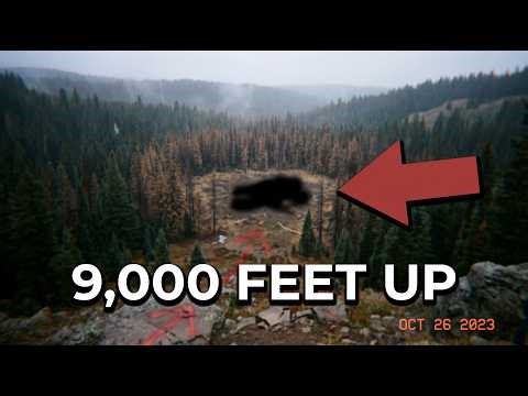 Hunters Are Terrified Of The Rocky Mountains!