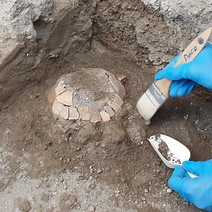 2.9K views · 39 reactions | A pregnant tortoise chose the wrong spot...