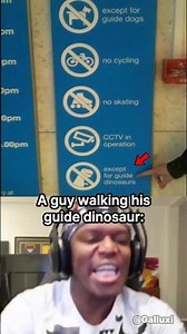 Guide dinosaur 🦖