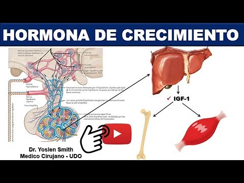 HORMONA DE CRECIMIENTO. GENERALIDADES. ¡FÁCIL!