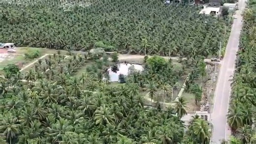 Chayada Chao on Reels