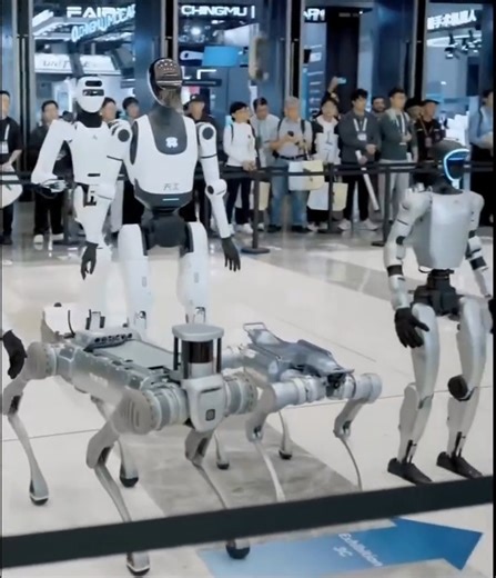 CTO ROBOTICS Media on Instagram: "Leaping past the limits of wheels. 🦗🤖 A new class of jumping robots is redefining extreme terrain navigation by mimicking the explosive energy of insects. By storing energy in elastic structures and releasing it in high-power bursts, these machines can leap several times their own height and even chain jumps off walls to navigate rubble that stops traditional robots. Integrated sensors track body orientation mid-air, ensuring the robot lands perfectly to maint