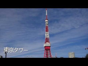 箱根駅伝 １０区コースガイド