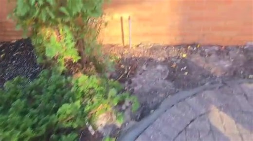 ACE Landscaping Services on Reels