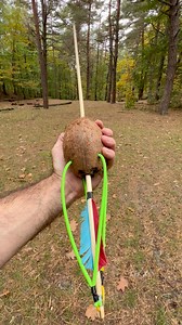 Real Hawaiian Slingbow - Shot🤯🏹 #hawaii #hawaiilife #hawaiinstagram #hawaiilove #waikiki #Hawaii #honolulu #aloha #oahu #honoluluhawaii #hawai | Lis X