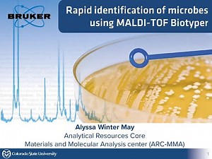 ARC Seminar Series: Rapid Identification of Microbes using MALDI-TOF Biotyper