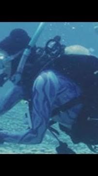 Australia: world's largest coral colony