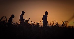 POV:Trailer | Stateless Season 34 Episode 3