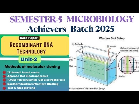 Ti Plasmid based vector: Binary & Co-integration| Gel Electrophoresis | Blotting techniques | PAGE|