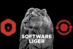 Software and Keycoin Software Liger Software | Keyline