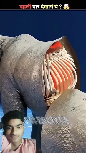 #facts #amazingfacts #factsinhindi #knowledge #cartoonshorts #animationviral #3dfunny #science