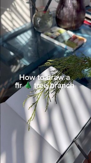 How to draw a fir 🌲 tree branch