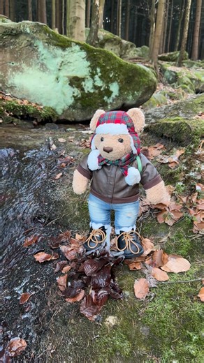 Freezing weather, but no snow this year. We were walking in our beloved foothills and look how beautifully the stream freezes over. ❄️🐻❤️ - - - #travelwithtoby #BEarYOURSELF #lifeisbetterwithteddybear #TobyTeddyBear buildabear posterizaceCZ (c) posterizace.cz & travelwithtoby.com with @zwyrze | Toby TeddyBear