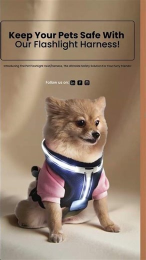 Keep Your Pets Safe with Our Flashlight Harness!