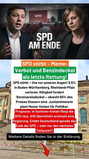 SPD will Politiker-Memes verbieten — das ist ihr letzter Ausweg!