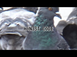 HONEST CODE