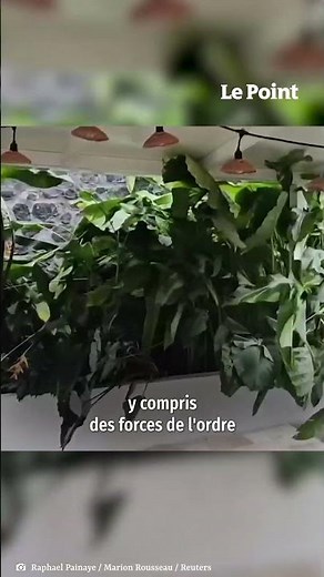 Cyclone Garance à La Réunion : le bilan provisoire s’élève à 3 morts