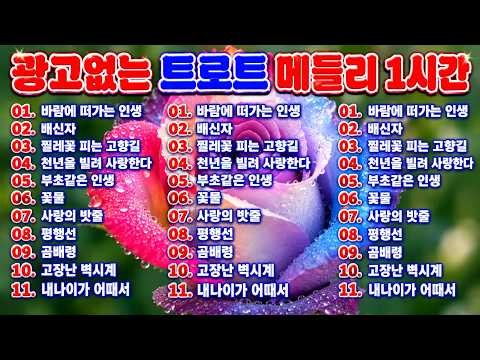 광고없는 트로트 메들리 1시간 🎶 차 안에서 듣는 트로트 | 드라이브 음악💖하루 종일 듣기 좋은 노래 모음🎶흘러간 옛노래 뽕짝 메들리 가사 포함,추억의 트로트 명곡 모음